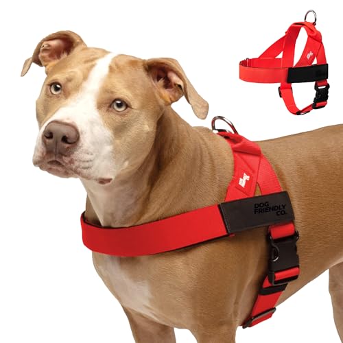 Image of Dog Friendly Co. Dog Harness for Small Dogs (Red, XXSmall)