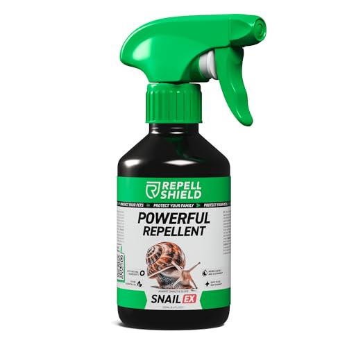 How to make garlic spray for slugs How to make garlic spray for slugs