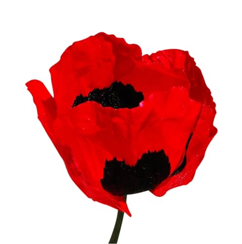 Turkish Poppy Seeds - Tall Poppy with Black Markings - 1000 Seeds