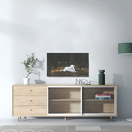 Tableau Terre-Neuve blanc forêt toile imprimée poster animalier 71x40 cm - 3