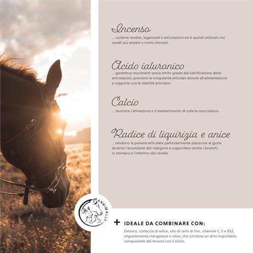Polvere Per Le Articolazioni Dei Cavalli 850G Con Artiglio Del Diavolo Cavallo, Msm Cavallo (Zolfo), Glucosamina E Condroitina - Msm Integratore Cavalli Per Il Rafforzamento Delle Articolazi - 6