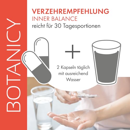 BOTANICY Inner Balance - 60 Ashwagandha Kapseln mit BIO KSM-66 - Alternative zu Anti Stress Tabletten - Indische Schlafbeere, Ginkgo Biloba, Rosenwurz, Vitamin B5 und B9 plus Zink - Laborgeprüft