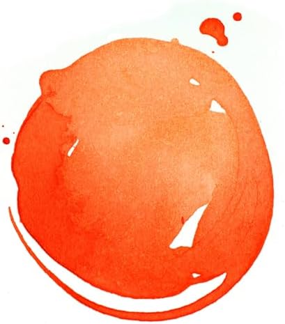 Liquitex Profesyonel Akrilik Mürekkep, 1oz (30ml) Kavanoz, Floresan Turuncu - Görsel 2