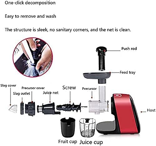 Extractor de Jugos Prensado Lento con Motor Silencioso y Alto Rendimiento miniatura 4