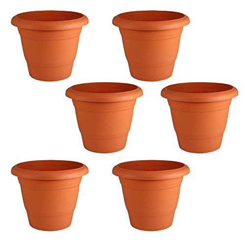Leafy Tales Plastic Pots, Terracotta Color 6 inch Pot Size, 6 Pieces, Small (6″ Terracotta Pot – 6)