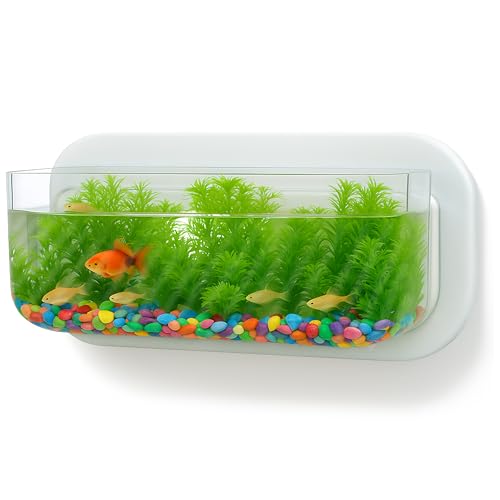 Wall Mounted Fish Tank Bowl, Wall Hanging Planter Pot for Decor, 1500ml/0.4 Gallon, Acrylic Mini...