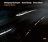 blade gitarre gebraucht  Angular Blues [Vinyl LP]