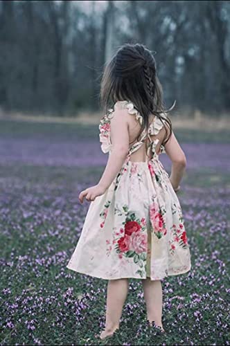 Somlatrecy Girls Floral Dress Toddler Tea Party Dress Little Girl Birthday Dress3