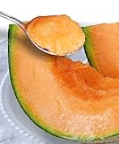 山形県産 庄内メロン �