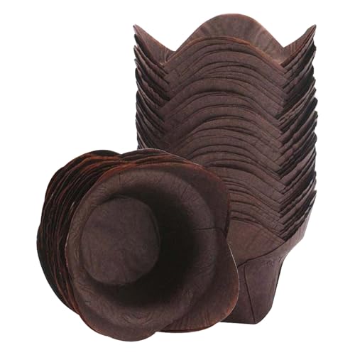 PHENOFICE 100 @Ԍ^x[LOJbv ϖ}tBJbvP[LCi[ Ăَqp ϔMĝĎRbv P[LX JtF