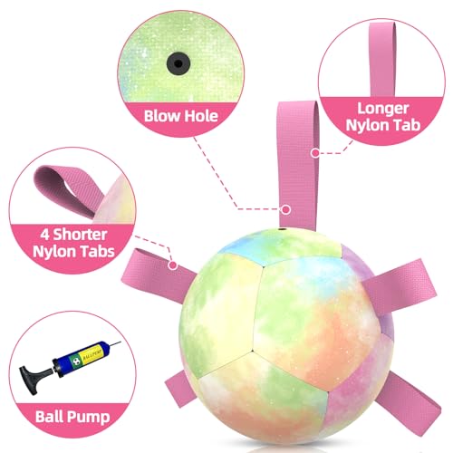 QDAN Dog Toys Soccer Ball with Straps, Durable Dog Balls for Tug of War, Puppy Birthday Gifts, Dogs Water Toy Small Dogs-Rainbow(5 Inch)