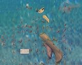 Many Hats Distribution