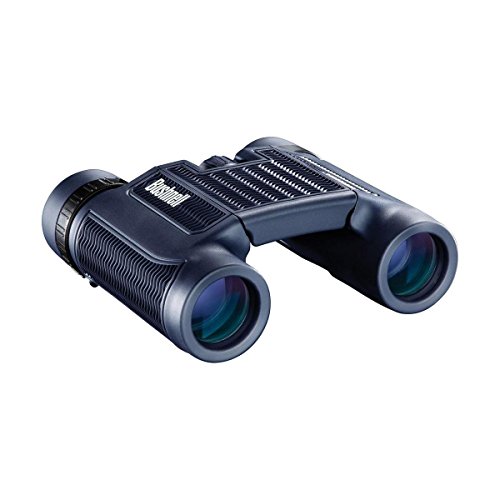 Bushnell Binocular 10x25 Roof Prism Negro miniatura 1