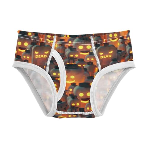 visesunny Boys Potty Training Underwear Death Jar Lamp Breathe Cotton Briefs Size 2T-8Y for Toddler