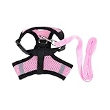 Gilet pour chien - cette écharpe garde votre chien frais, sec et respirant, fournitures pour animaux de compagnie