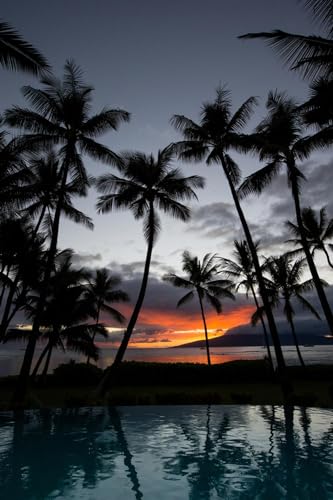 ART.COM Wall Photographic Print Silhouette of palm trees at dusk, Lahaina, Maui, Hawaii, USA, 16' x 24'