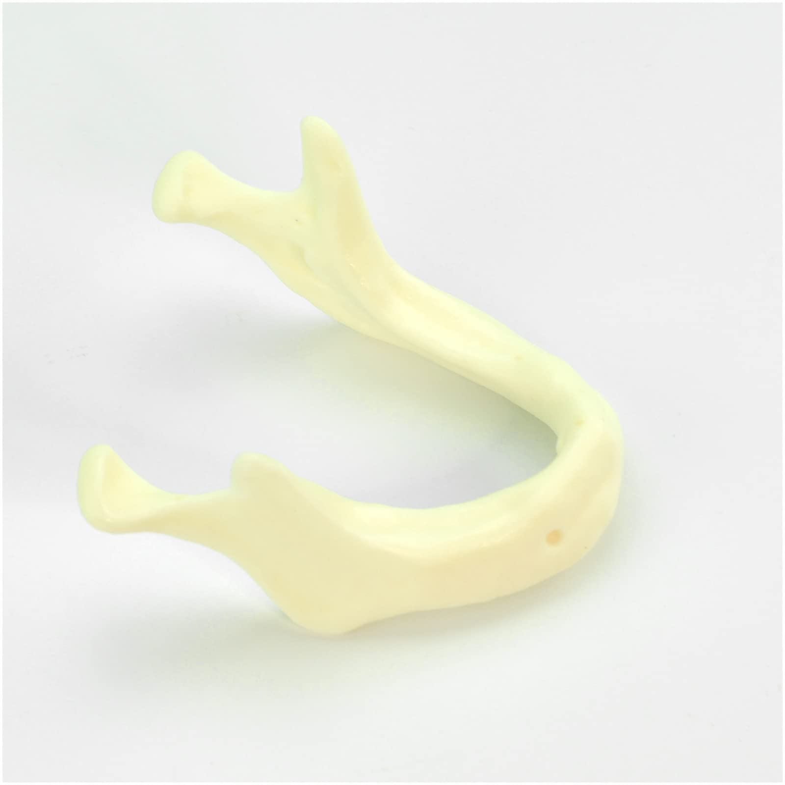 Model do ćwiczeń implantów jamy ustnej, model do pielęgnacji jamy ustnej, model do nauczania zębów dentystycznych - do praktyki bionicznej, nauczania praktycznego modelu egzaminacyjnego, ekspozycji