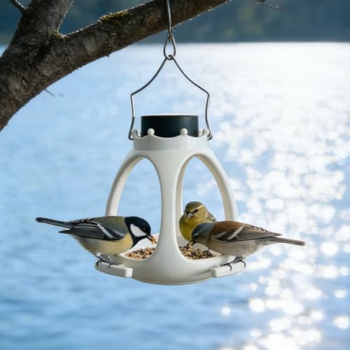 Mangeoire à oiseaux d'extérieur lanterne solaire autonome