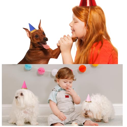 image for Panitay 40 Pcs Colorful Mini Small Party Hats for Stuffed Animals Pape
