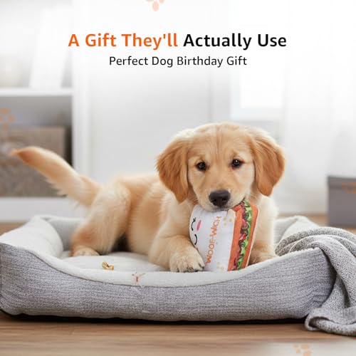 Image of Amazon Basics Squeaky Plush Dog Toy | Cute Sandwich Design | Crinkle & Squeak Sound | Soft & Durable | for Puppies & Small Dogs | Ideal for Chewing, Fetch & Play