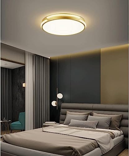 Plafonnier à trois températures de couleur LED avec diffuseur moderne de 50cm - 2