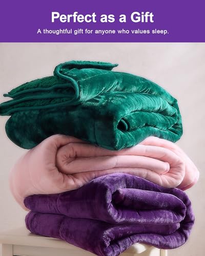 Image of Super Fuzzy Soft Sherpa Fleece Weighted Blankets, 15 lbs Dual Sided Fluffy Heavy Weighted Blankets for Adults - No Bunching with Double Layers of Soft Inner Lining (60 inchx 80 inch, 15 Pounds)