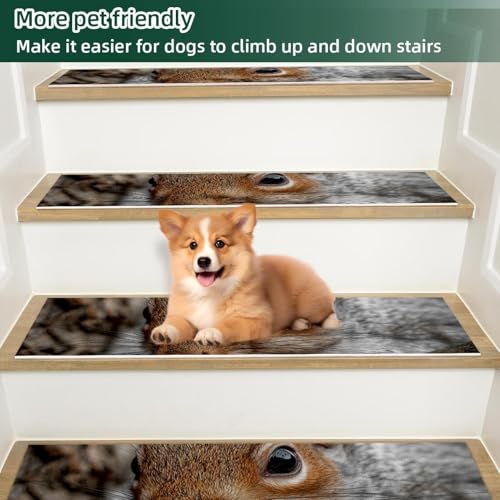 Tapis d'escalier antidérapant intérieur lot de 15 finitions soignées écureuil - 6