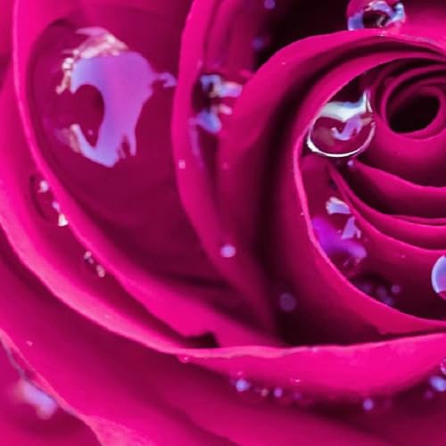 Episodio 90 - Estrellitas de dulzura