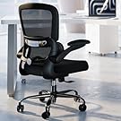 TRALT - Silla de Oficina ergonómica con Soporte Lumbar Ajustable, Silla de computadora de Malla, Silla ejecutiva para Oficina en casa, cómodo Soporte Lumbar (Negro)