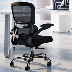 TRALT Office Chair – Ergonomic Desk Chair with Adjustable Lumbar Support, Mesh Computer Chair, Executive Chairs for Home Office Comfortable Lumbar Support (Black)