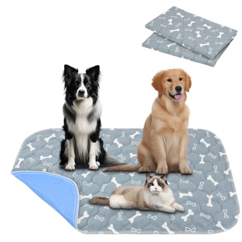 Aomig Waschbare Welpen-Trainingspads 2Pcs Haustier-Urinunterlage Welpenunterlagen Wiederverwendbare Hundetrainingspads Hunde Katzen Meerschweinchen Welpen Altere Inkontinente Hunde (Grau Bone,40*60cm)