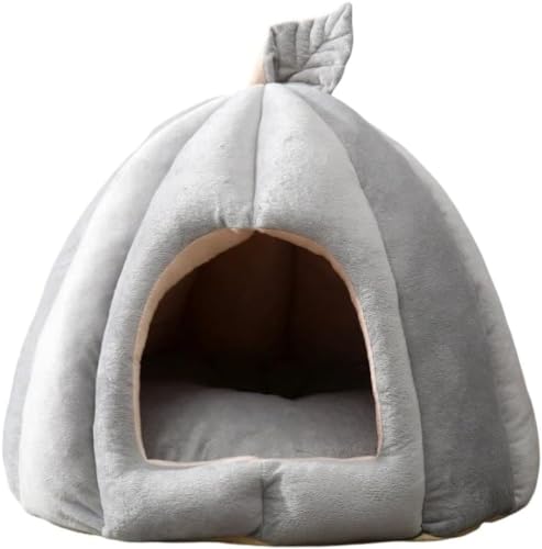 YIJOFU lR񂪗h[^̃ybgnEX ybg nEX ybgxbh CY  L h[^ 킢 @  p ~ ~ H  Ck lR h ybgnEX ΍ (40*40*35,O[t