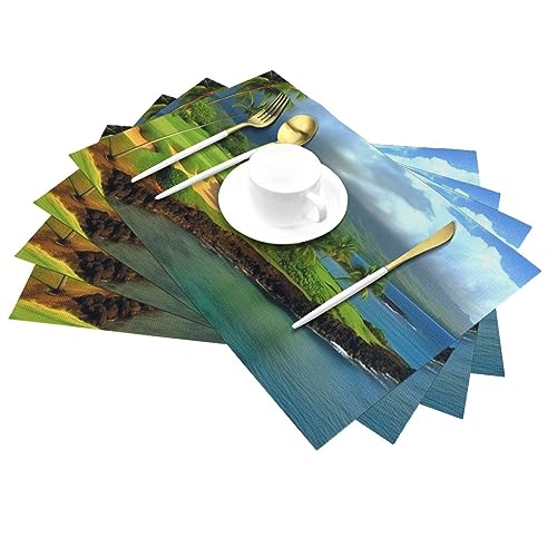 Sets de table tropical hawaïen lavables pour protéger votre mobilier - 5