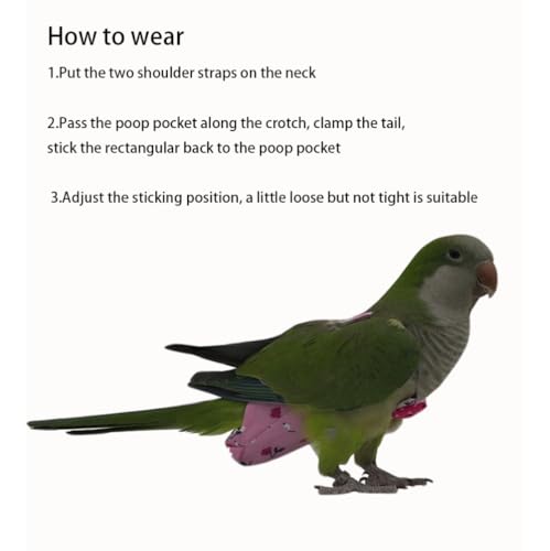 Pañal para pájaros lavable de 6 piezas con capa impermeable ajustable para loros 3