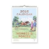 Horses & Ponies Humour Cartoon Funny 2026 Yearly Wall Hanging Calendar - Cartoons by Armand Foster