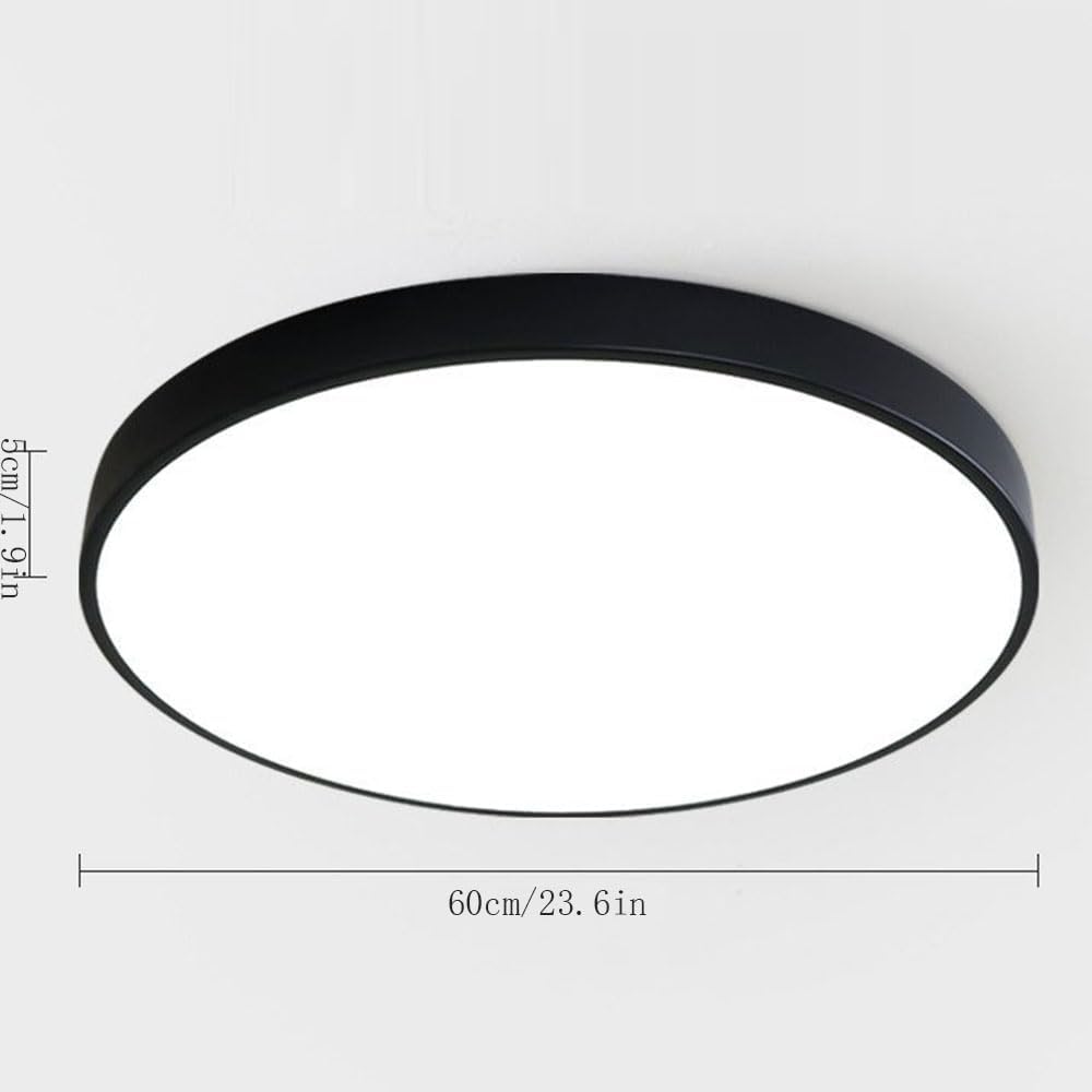 Minimalist Ceiling Lights with Remote Control round Ceiling Lamp Modern Close to Ceiling Light Fixture Flat Ceiling Lamps Acrylic Metal Saving Ceiling Light for Bedroom Kitchen Living Roo/K/
