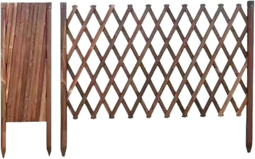 Shisuncne LktFX bVtFX K[f ډB ؐ  AR[fBI ̍ Y\ʏ hEhH Eh~  y O hhH ݒuȒP ܂肽ݎ oP[h K[h[ ԏ (A,120cm 