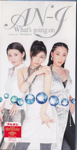 AN-J - What's Going On - Mini LP