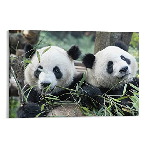 [C&L CHILANG] LܒݓIIJ~Lcl~gnEBRXvߑANZT[ Therians MAjnEBRXvߑANZT[