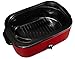 Oster CKSTROSMK18 Smoker Roaster Oven, 16-Quart