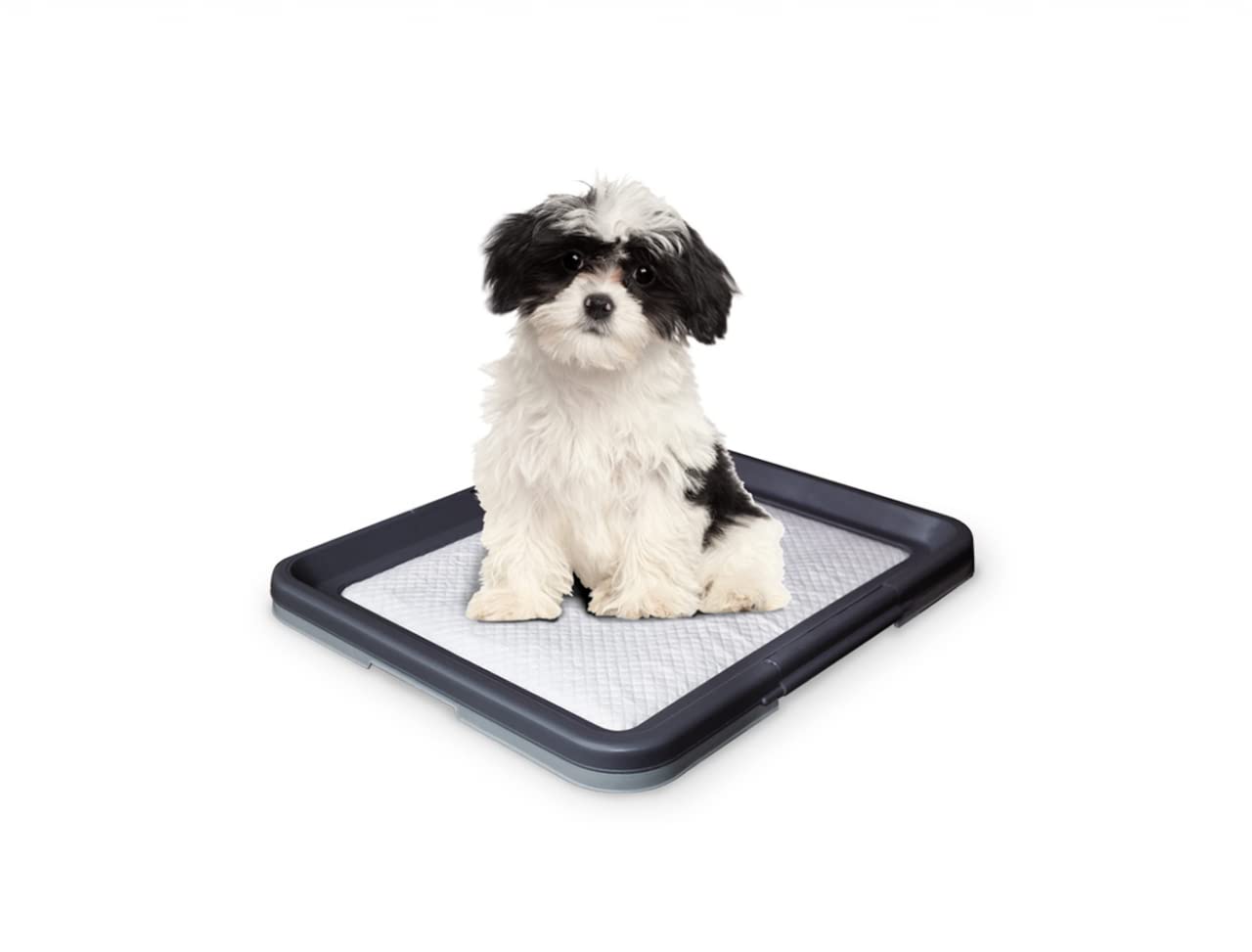 Nobby Doggy Trainer, Small, 48 x 41 x 3.5 cm