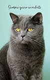  Siempre quiero recordarte: Cuaderno de contraseñas discreto  109 Páginas  432 Espaciosas cajas de registro  British Shorthair  Sitio web, Nombre ...  12,7 x 20,3 cm  Registro  Gato