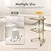 Multifunctional 2-Tray Utility Cart on Wheels, 2 Tier Salon Rolling Cart, Foldable Medical Trolley, Stainless Steel Mobile Storage Tray Cart for Dental Tools Cavitation Machine Salon Supplies (Gold)