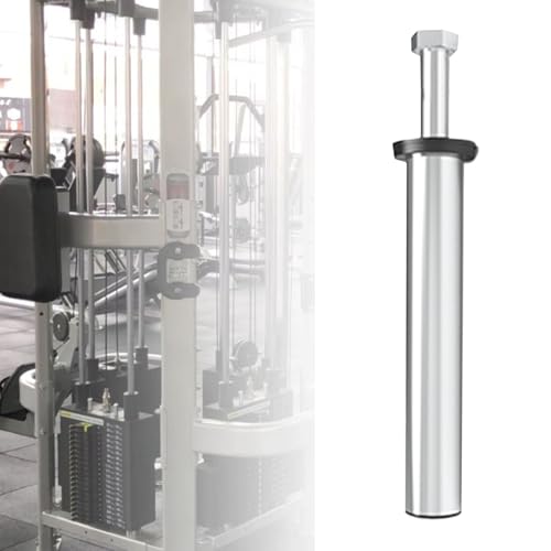 Support pour disques d'haltères en acier inoxydable pour optimiser l'espace