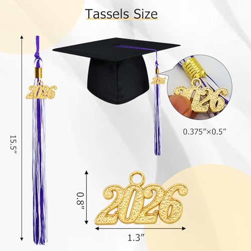 Image of GraduationMall Single&Multiple Color Graduation Tassel with 2026 Year Charm 9 inch