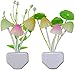 Night Light with Smart Sensor,0.7W Plug-In,Romantic Color Change,Mushroom&Lotus Leaf Lamp,(pack of 4)