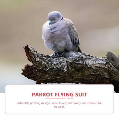 Couches pour oiseaux à utiliser à l'extérieur - Pack de 4 pantalons pour sorties - 7