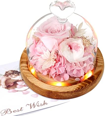 Preserved Flower Rose Gift for Women Mom, Light Up Fresh Flowers, Forever Pink Rose in Glass Dome, Birthday Flowers Gifts for Mothers Day, Roses Flowers for Delivery Prime for Anniversary Wedding