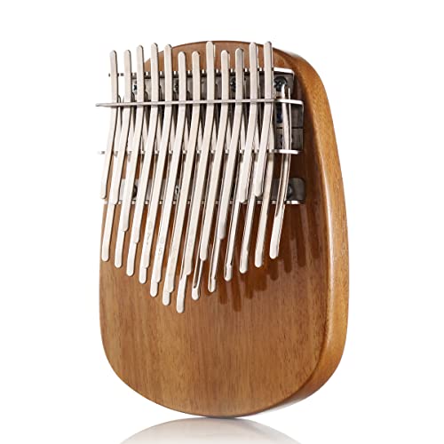 Dual Kalimba / デュアルカリンバ ケース、付属品あり The DUAL Kalimba dedicated speaker is amazing! I tried