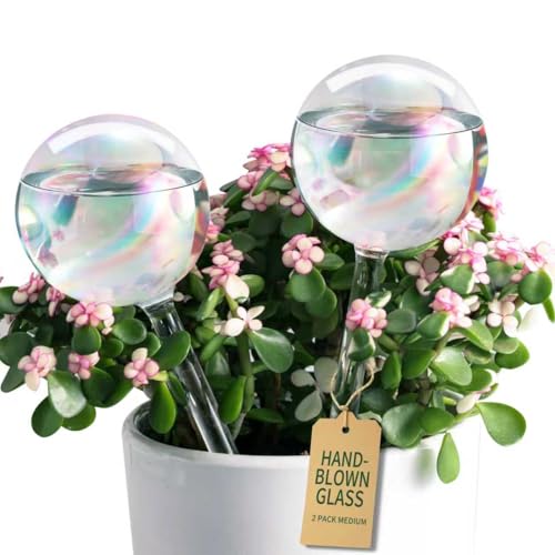 Soilagua Extra-Thick Clear Glass Plant Watering Globes Rainbow Gradient Self Watering Globes Automatic Plant Waterer Self Watering Planter Insert Spikes Devices for Everyday or Vacation Use 2-Pack